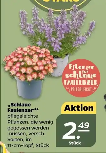 NETTO ,,Schlaue Faulenzer"* Angebot