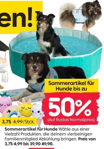 Rusta Sommerartikel für Hunde Angebot