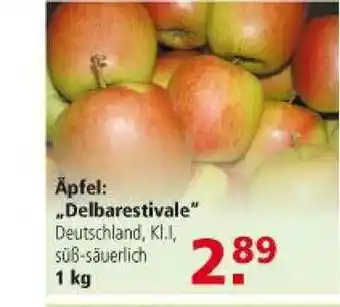 Multi Markt äpfel „delbarestivale” Angebot