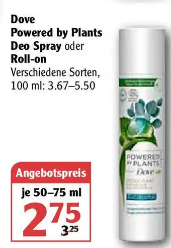 Globus Dove Powered by Plants Deo Spray oder Roll on 50-75ml Angebot