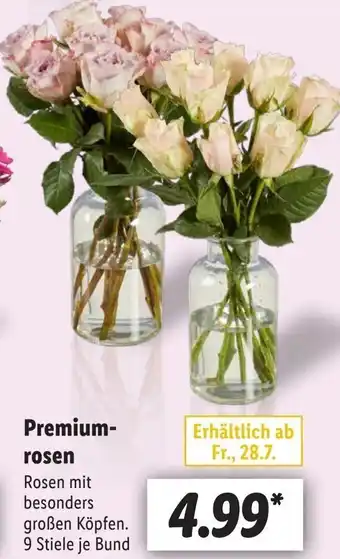 Lidl Premiumrosen Angebot