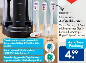 Aldi Süd EURODONT Universal-Aufsteckbürsten 4er-/6er-Packung Angebot