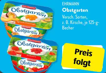 Aldi Süd EHRMANN Obstgarten 125 g Becher Angebot