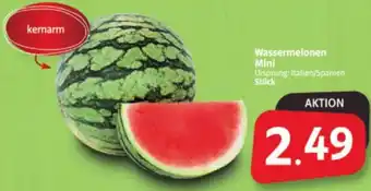 Markant Markt Wassermelonen Mini Angebot