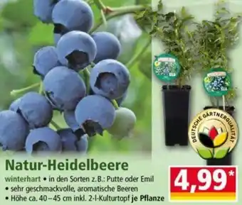 Norma Natur-Heidelbeere Angebot