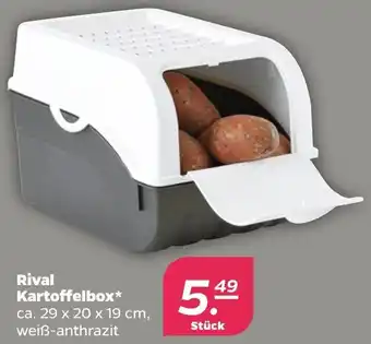 NETTO Rival Kartoffelbox Angebot