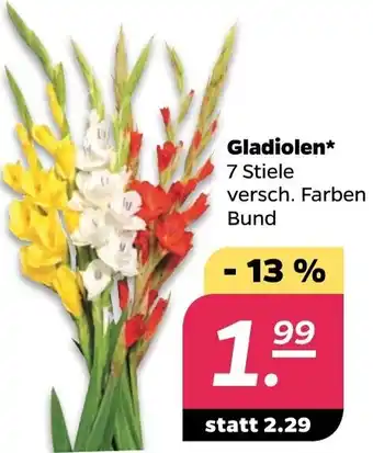 NETTO Gladiolen 7 Stiele Angebot