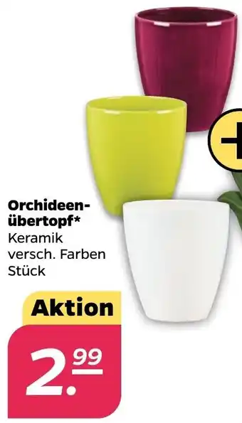 NETTO Orchideen-übertopf Angebot