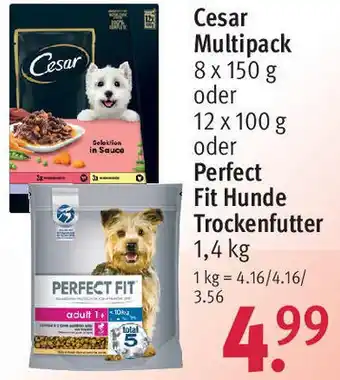 Rossmann Cesar Multipack 8 x 150 g oder 12x100 g oder Perfect Fit Hunde Trockenfutter 1,4 kg Angebot