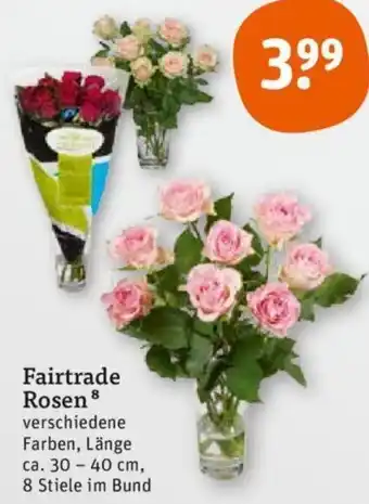 tegut Fairtrade Rosen Angebot