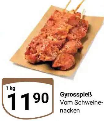 Globus Gyrosspieß 1 kg Angebot