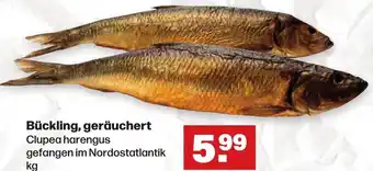 Handelshof Bückling, geräuchert Angebot