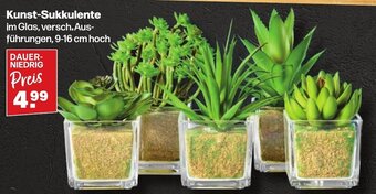 Handelshof Kunst-Sukkulente Angebot