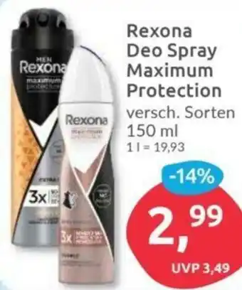 Budni Rexona Deo Spray Maximum Protection 150 ml Angebot