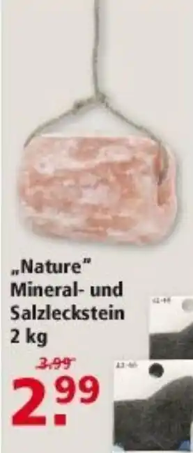 Multi Markt Nature Mineral und Salzleckstein 2kg Angebot