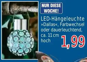 Wiglo Wunderland LED-Hängeleuchte Angebot