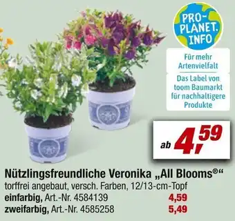 toom Baumarkt Nützlingsfreundliche Veronika „All Blooms®" Angebot