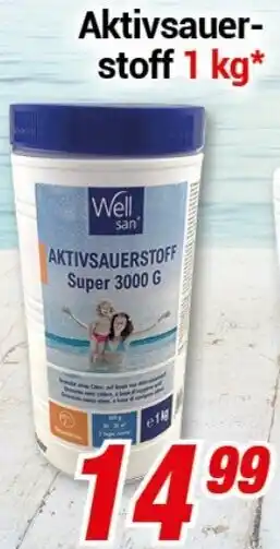 CENTERSHOP Well san Aktivsauerstoff 1 kg Angebot