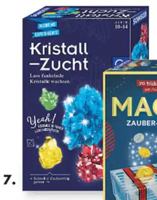 Galeria Kristall Zucht Angebot