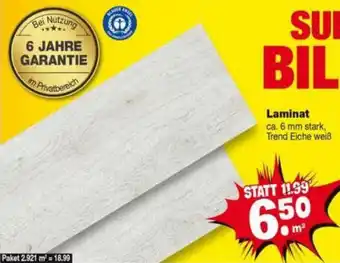 Repo Markt Laminat Angebot