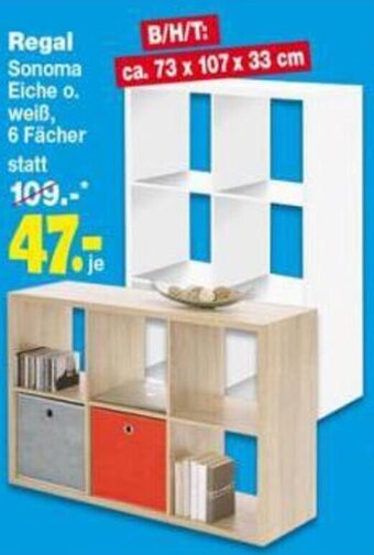 Repo Markt Regal Angebot