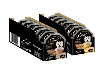 Thomas Philipps Cesar landragout 14x150g schale 2 verschiedene sorten Angebot