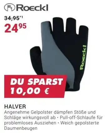 Fahrrad XXL Roeckl HALVER Angebot