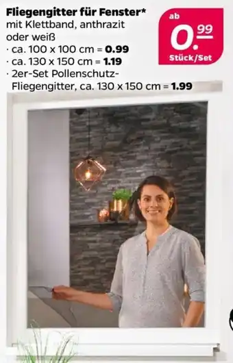 NETTO Fliegengitter für Fenster Angebot