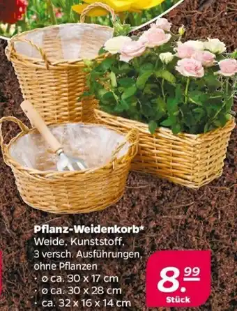 NETTO Pflanz-Weidenkorb Angebot