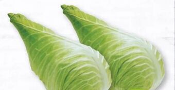 Nah & Frisch Spitzkohl Angebot
