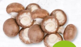 Nah & Frisch Kulturchampignons Angebot