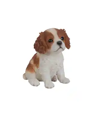 Dehner Dehner polyresin-welpe cavalier king charles Angebot