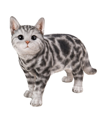 Dehner Dehner polyresin-katze, 40 x 16 x 29 cm Angebot