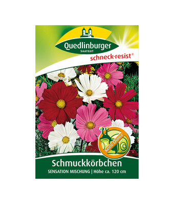 Dehner Quedlinburger samen schmuckkörbchen 'sensation mischung' Angebot