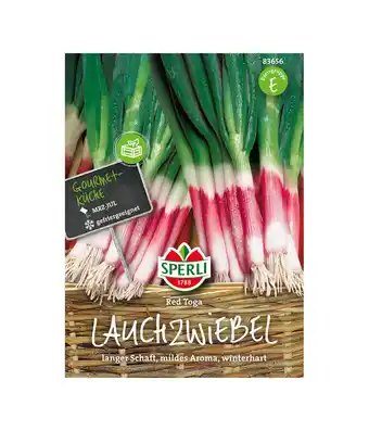 Dehner Sperli samen lauchzwiebel 'red toga' Angebot