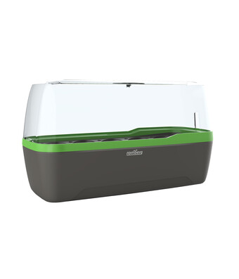 Dehner Romberg boqube gewächshaus Angebot