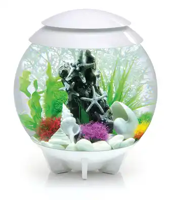 Dehner Biorb® aquarium halo 30 mcr Angebot