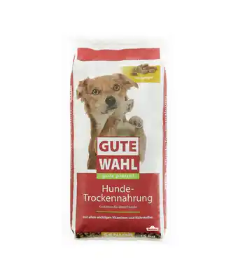 Dehner Gute wahl trockenfutter für hunde, senior Angebot
