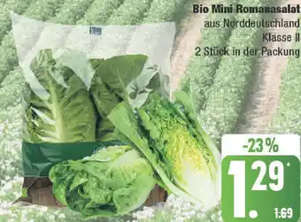 Marktkauf Bio Mini Romanasalat Angebot