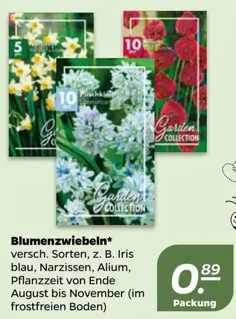 NETTO Blumenzwiebeln Angebot