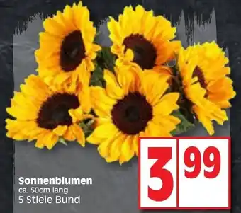 Edeka Sonnenblumen ca. 50cm lang 5 Stiele Bund Angebot