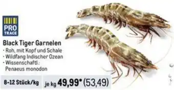 METRO Black Tiger Garnelen 8-12 Stück Angebot