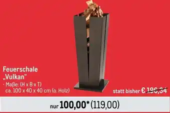 METRO Feuerschale ,,Vulkan" Angebot