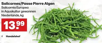 Handelshof Salicornes/Passe Pierre Algen Angebot