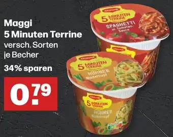 Handelshof Maggi 5 Minuten Terrine Angebot