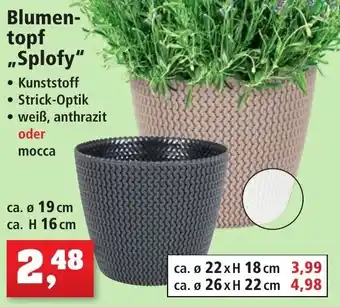 Thomas Philipps Blumentopf ,,Splofy" Angebot