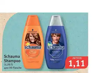 Feneberg Schauma Shampoo Angebot