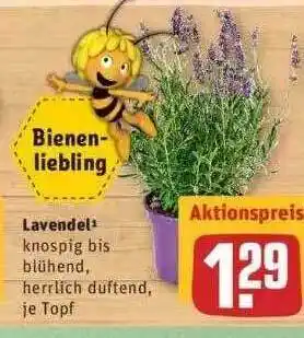 REWE Lavendel Angebot