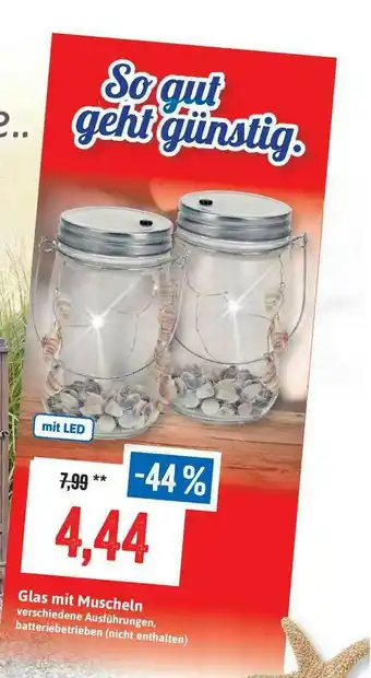 Stolz Glas Mit Muscheln Angebot