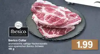 Famila Nord Ost Iberico Collar Angebot